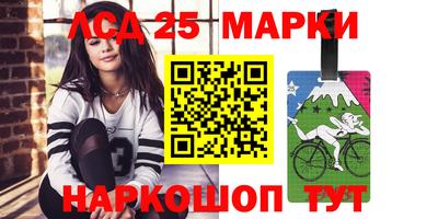 гашик Аргун