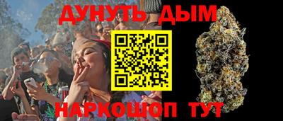 гашик Аргун