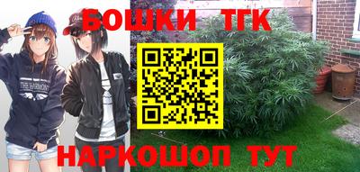 гашик Аргун