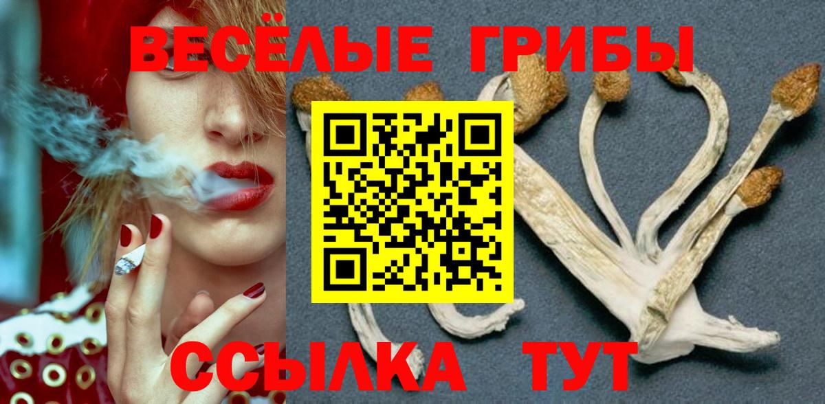Галлюциногенные грибы ЛСД Артём