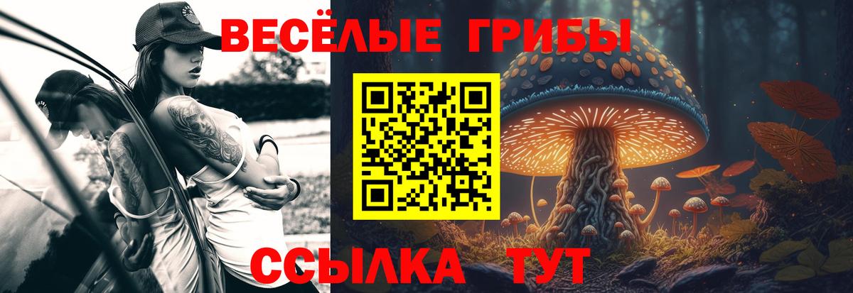 Артём  Псилоцибиновые грибы GOLDEN TEACHER  Вход с VPN 